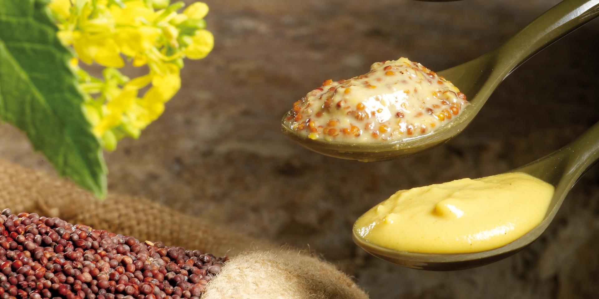 Fallot Mustard Degustation