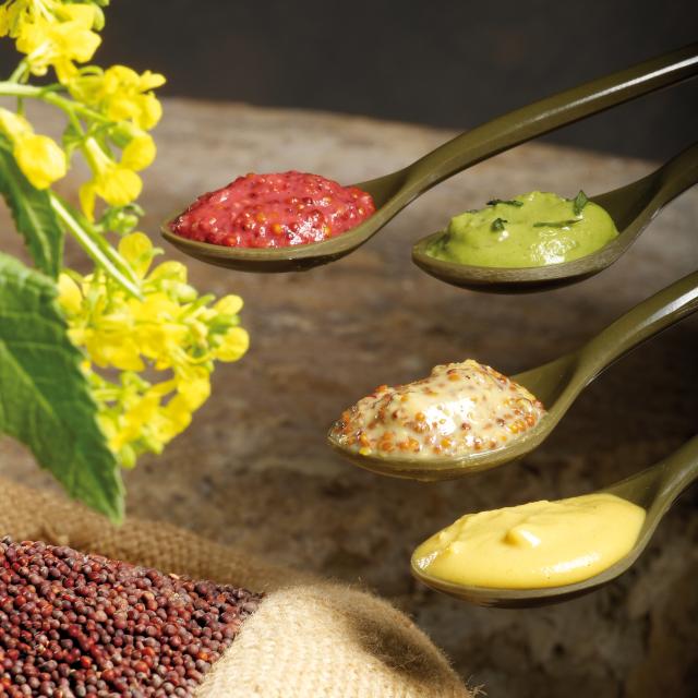 Degustação da mostarda Fallot Mustard Degustation