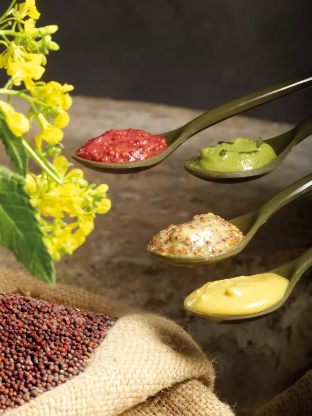 Fallot Mustard Degustation
