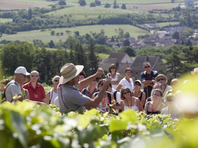 Oenolay Tour Explications dans les vignes du vigneron à Nolay à un groupe visiteurs
