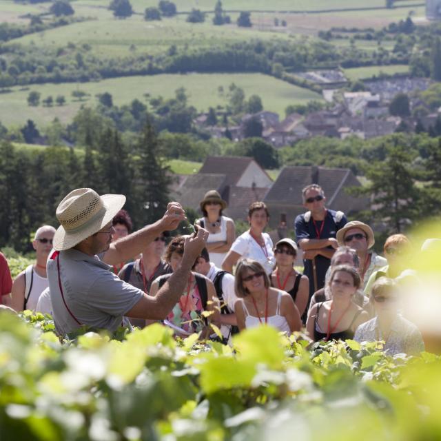 Oenolay Tour Randonnee