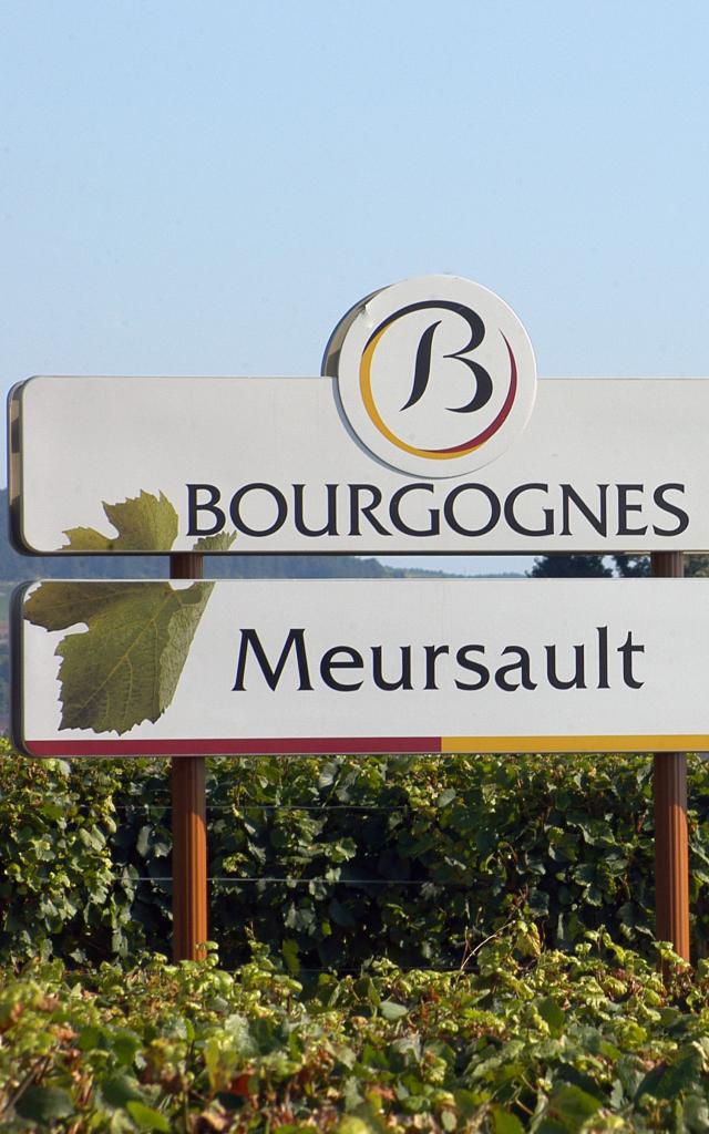Panel Meursault