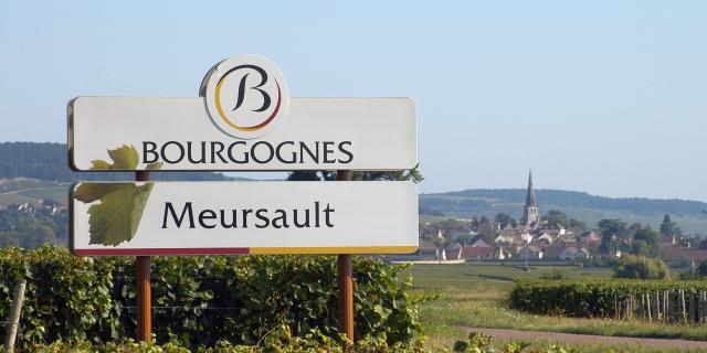 Panel Meursault