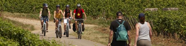 Wandern Wandern Radfahren Rundreise Voie Des Vignes Bourgogne