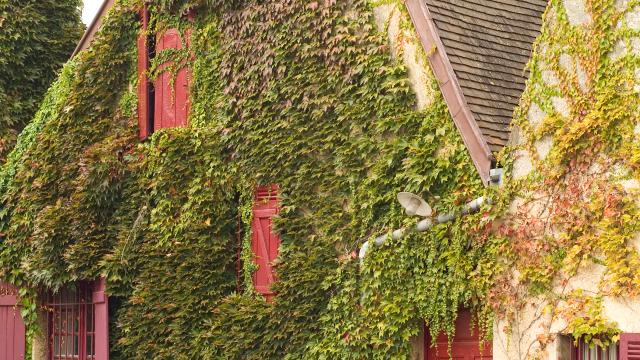 Remparts Beaune Bourgogne (1)