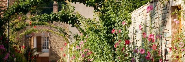 Ruelle fleurie de Savigny-lès-Beaune