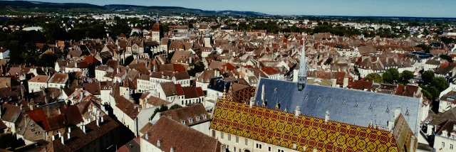 Hospices De Beaune Daken