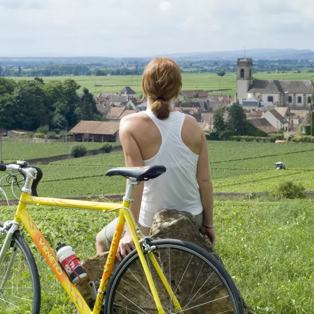 Velo Circuit Voie Des Vignes Pommard Femme Bourgogne