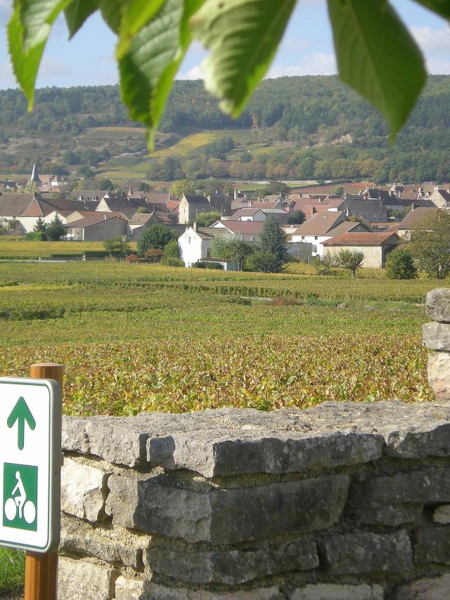 Veloroute Puligny