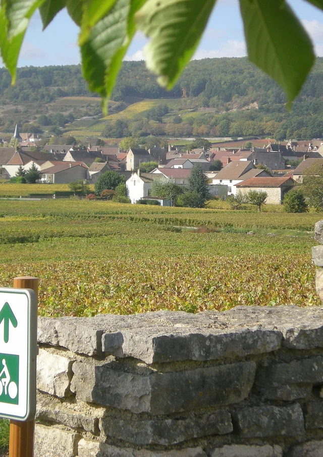 Veloroute Puligny