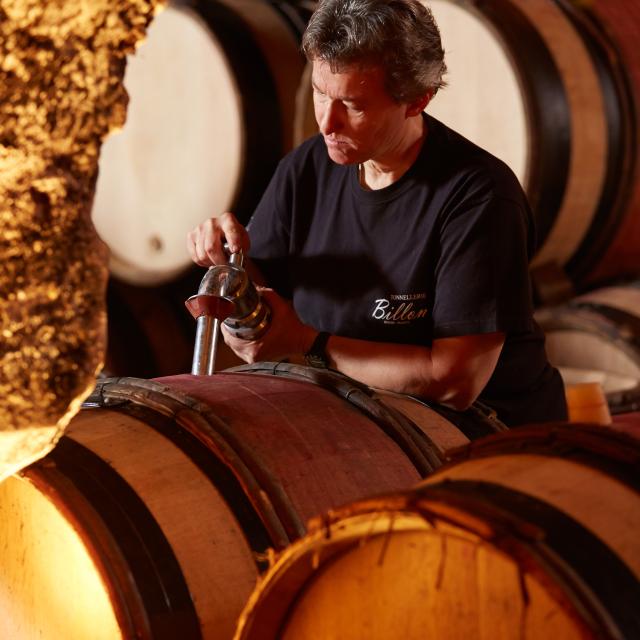 Cavernas Winegrower Caves Borgonha