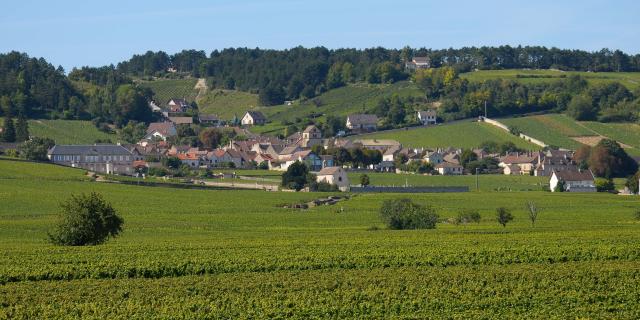 Viñedos de Volnay