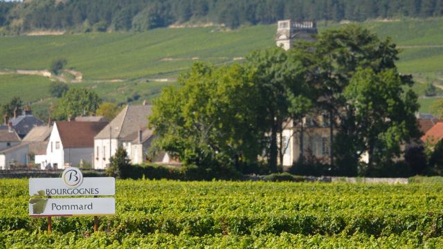 Village Panel Pommard