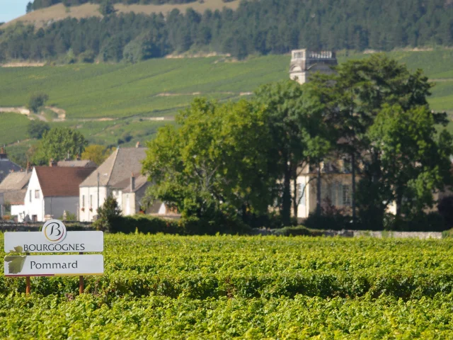 Dorpspaneel Pommard