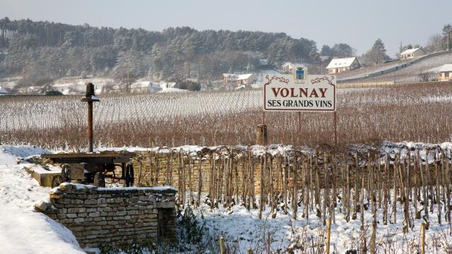 Volnay Winter
