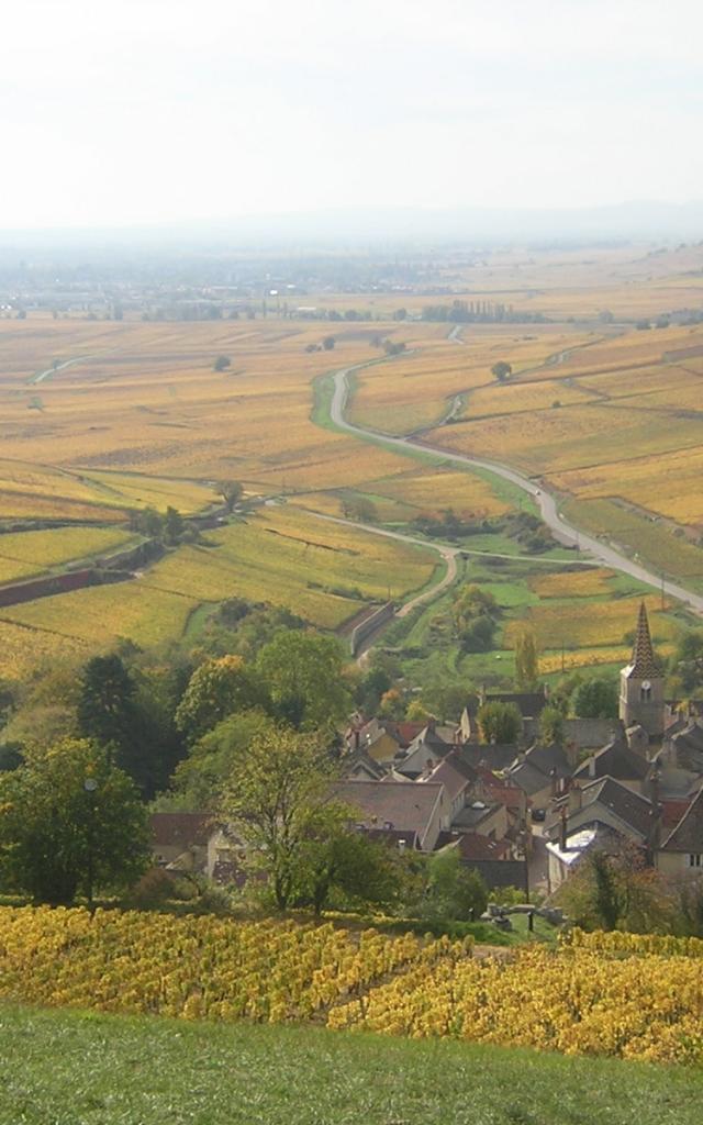 Vista de Pernand Vergelesses en otoño