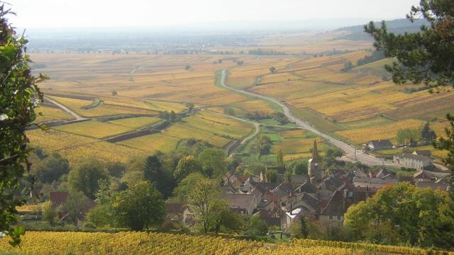 Vista de Pernand Vergelesses en otoño