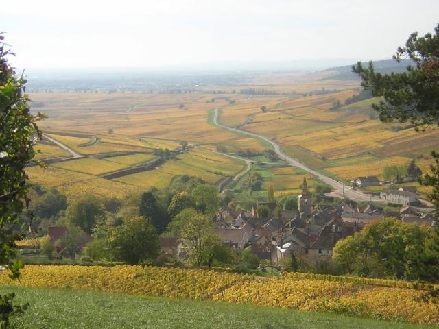 View of Pernand Vergelesses in Autumn