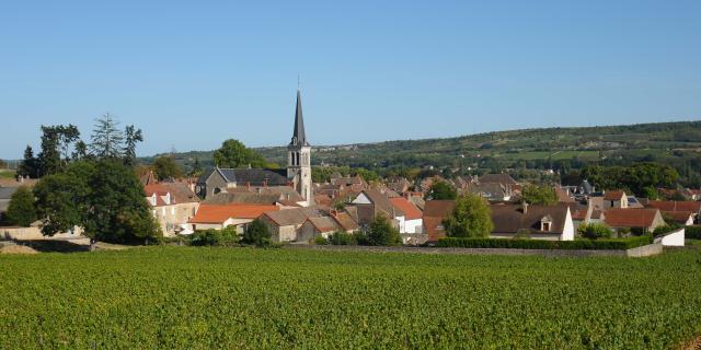 Santenay view