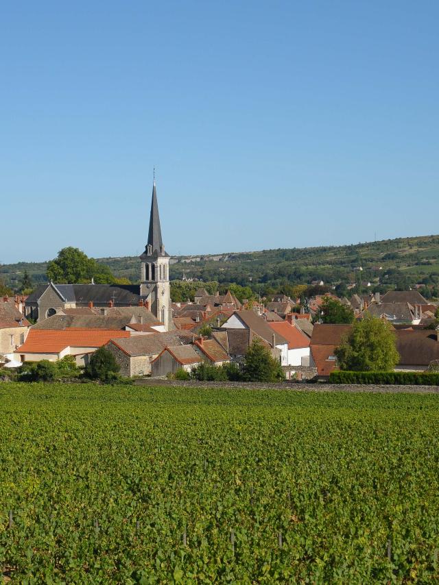 Vista de Santenay