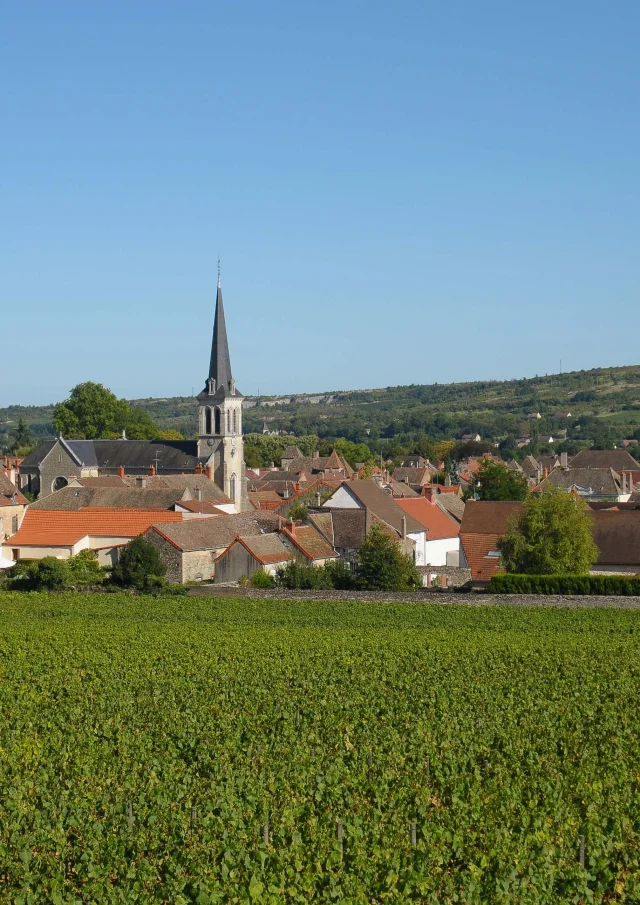 Vue Santenay