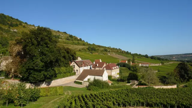 Vista de St Jean De Narosse