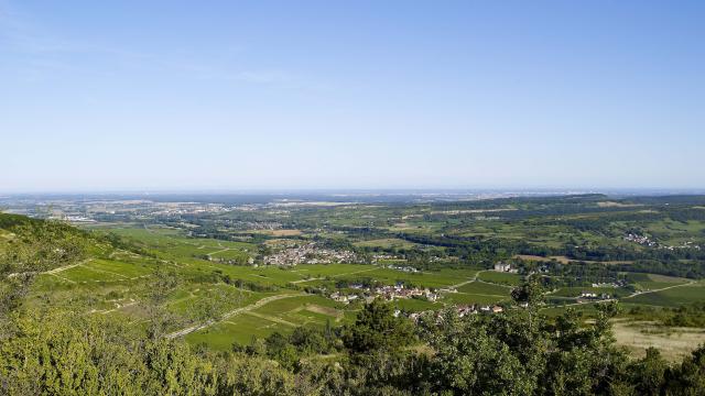 View Three Crosses Santenay