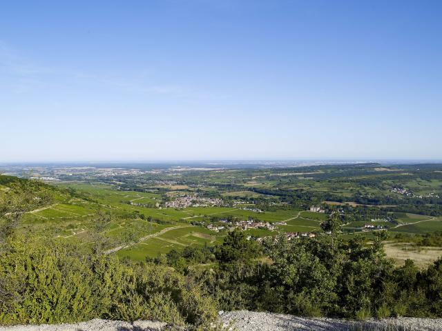 Ver Tres Cruces Santenay