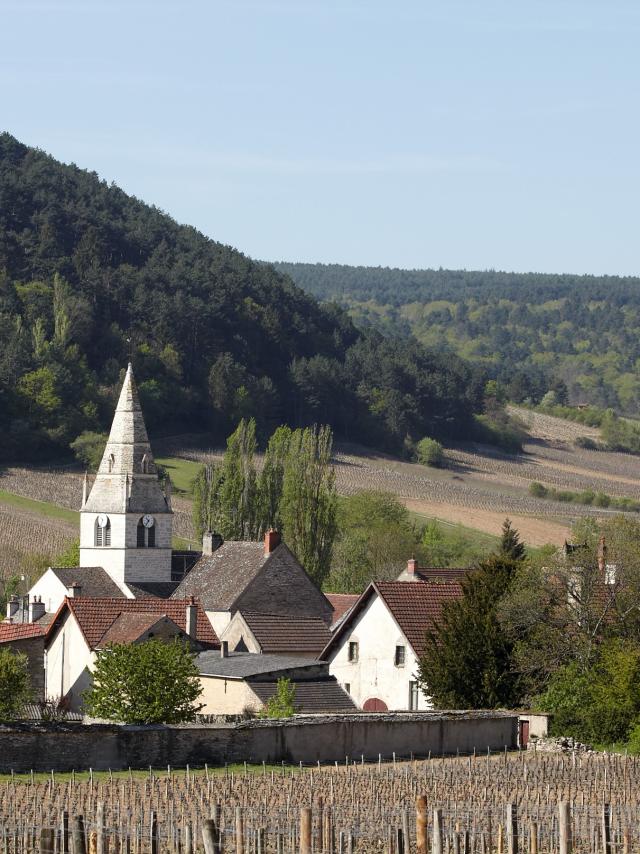 auxey-eglise
