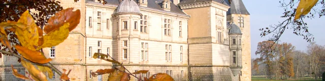 chateau-sully-automne