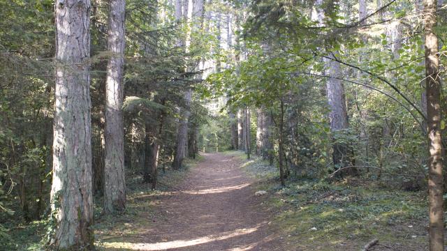 foret-montagne-beaune
