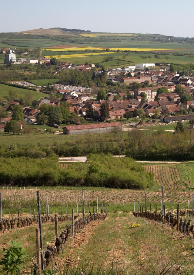 Paysage de printemps à Nolay