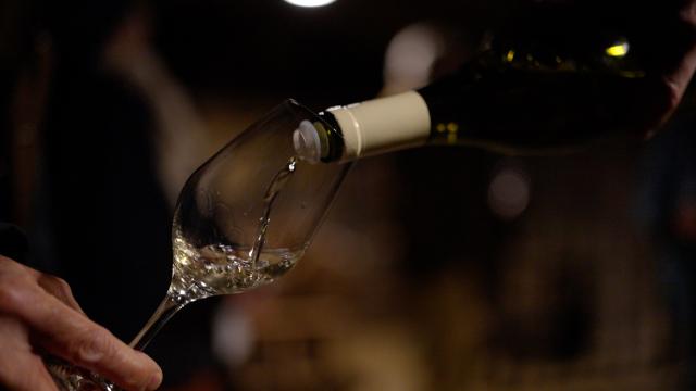 Vente des Vins 2022