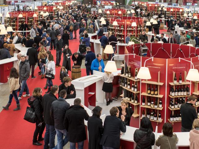 vdv-vins-stand