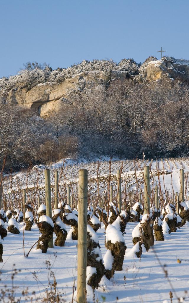 vignes-hiver-nolay