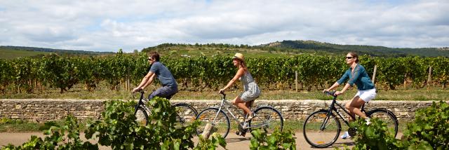 voie-des-vignes-bourgogne-velo-14