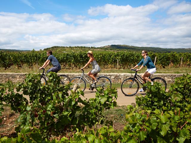 Voie Des Vignes Bourgogne Velo 14