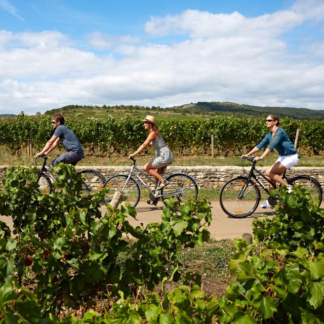 voie-des-vignes-bourgogne-velo-14