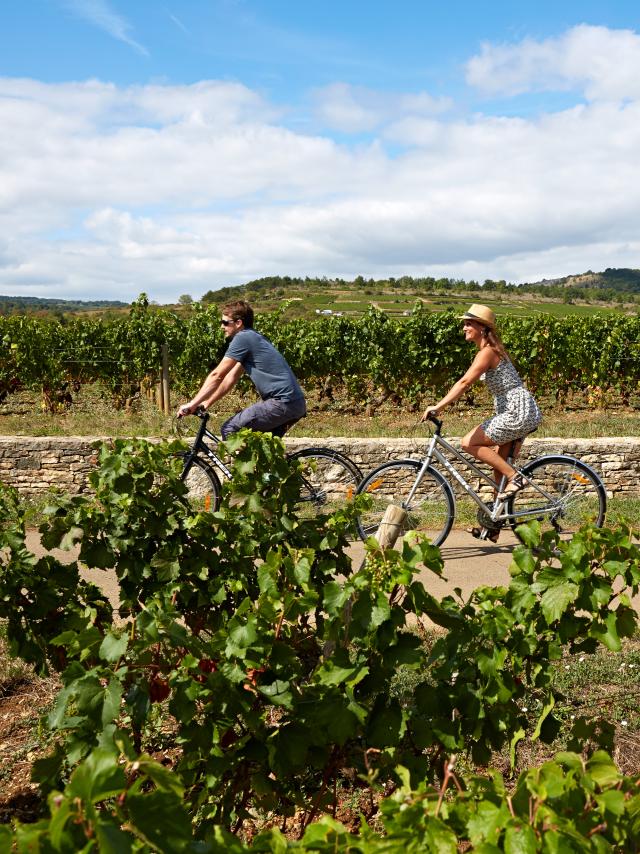 voie-des-vignes-bourgogne-velo-14