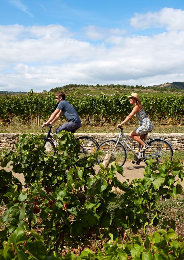 voie-des-vignes-bourgogne-velo-14