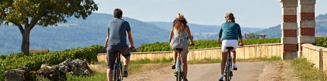 Voie Des Vignes Bourgogne Velo 24