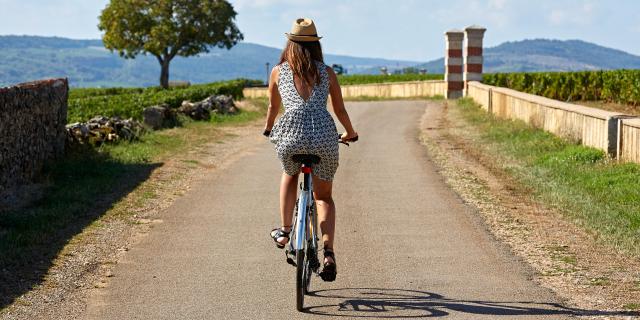 Voie Des Vignes Bourgogne Velo 25