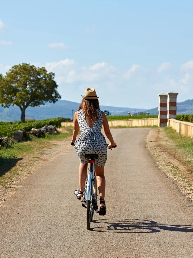 Voie Des Vignes Bourgogne Velo 25