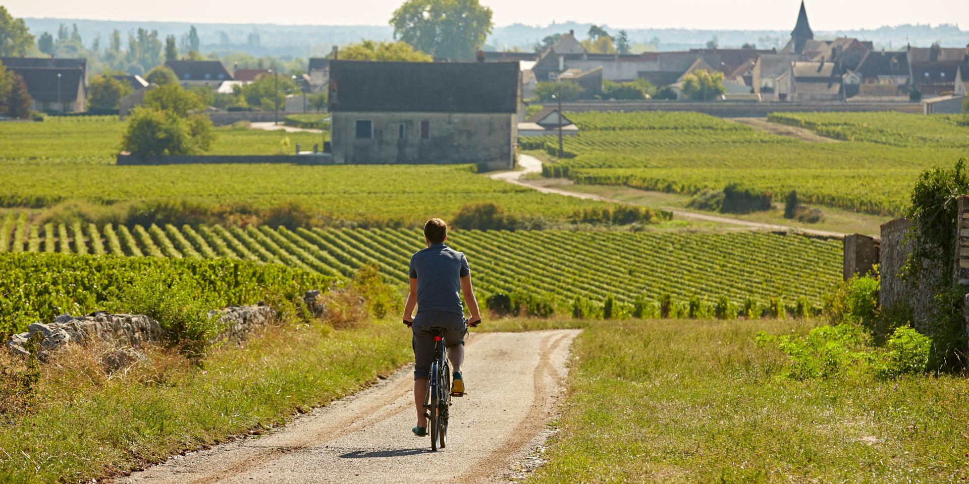 Voie Des Vignes Bourgogne Velo 30