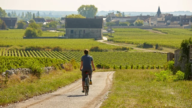 Voie Des Vignes Bourgogne Velo 30