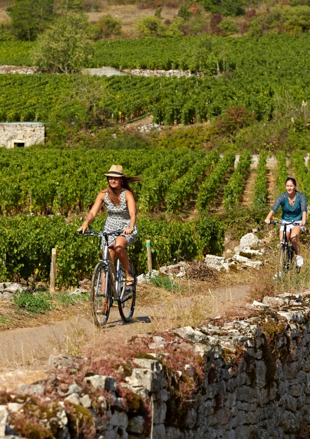 voie-des-vignes-bourgogne-velo-31