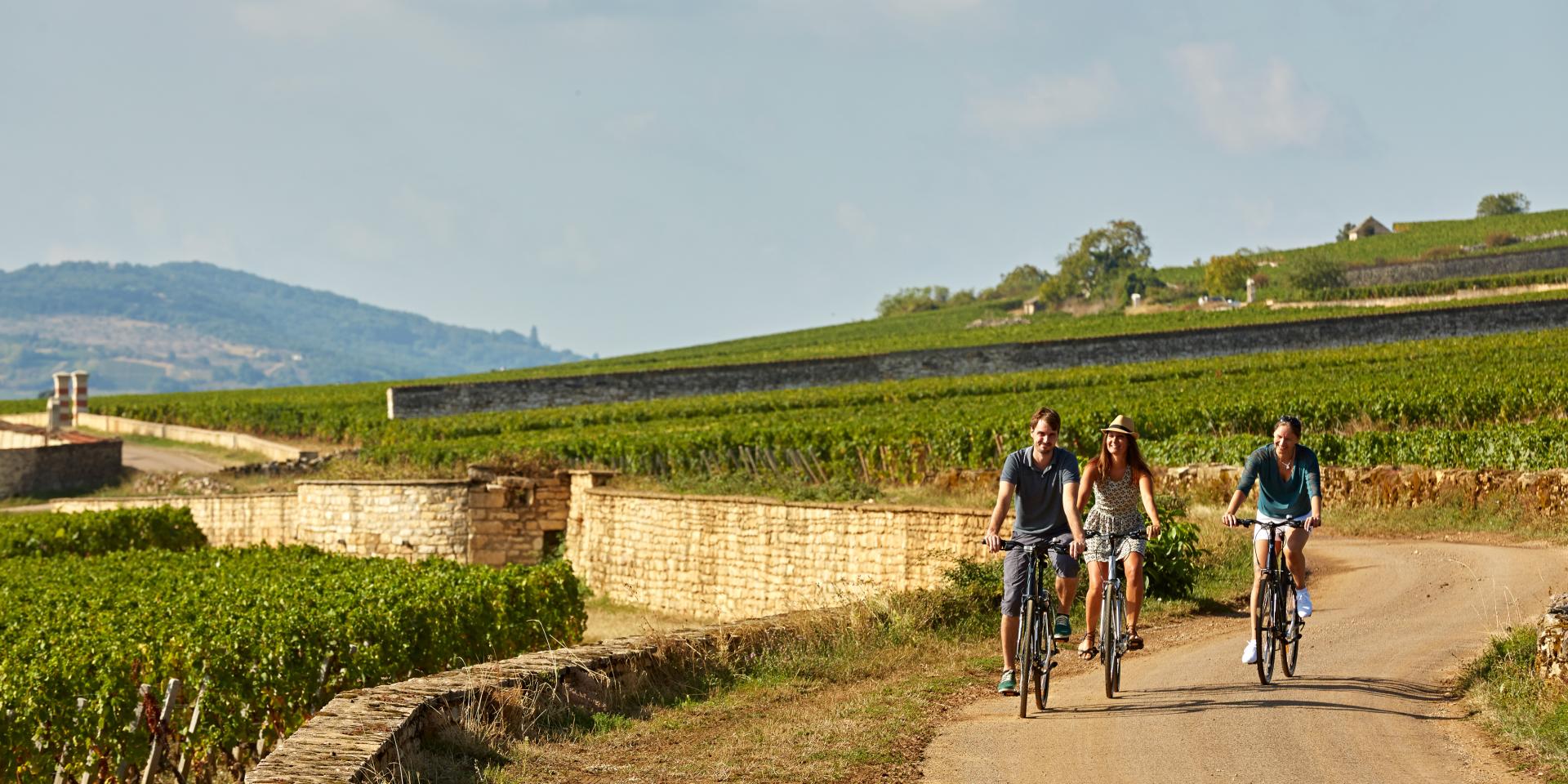 Voie Des Vignes Bourgogne Velo 33