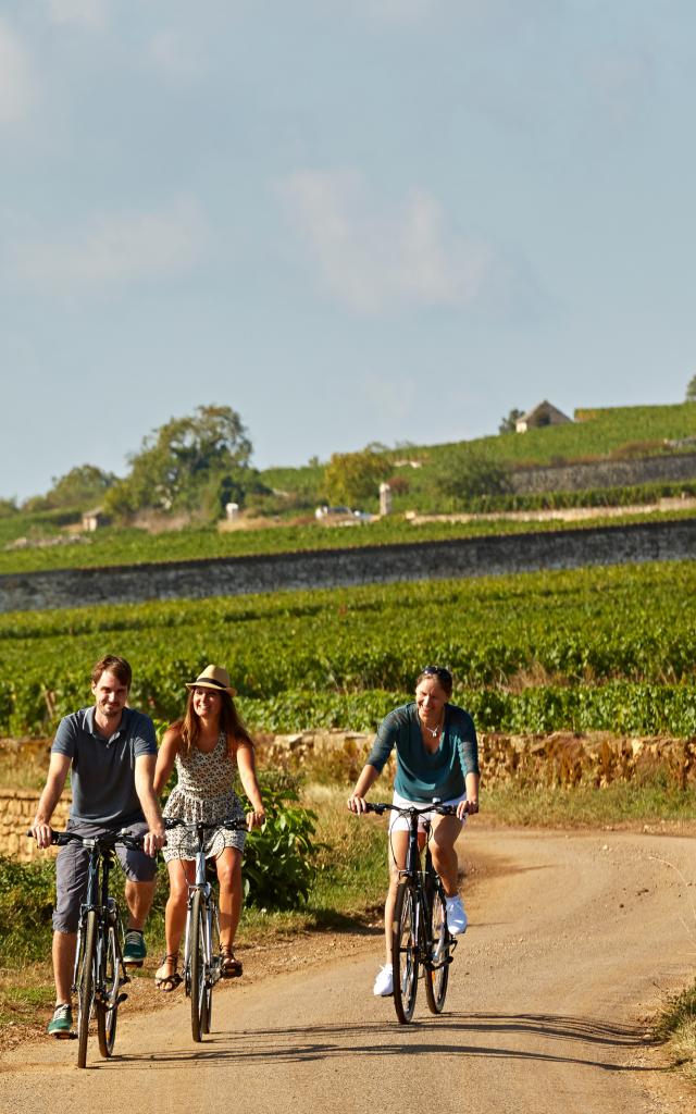 Voie Des Vignes Bourgogne Velo 33