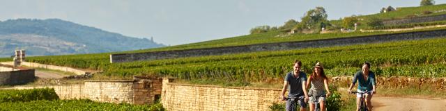 Voie Des Vignes Bourgogne Velo 33
