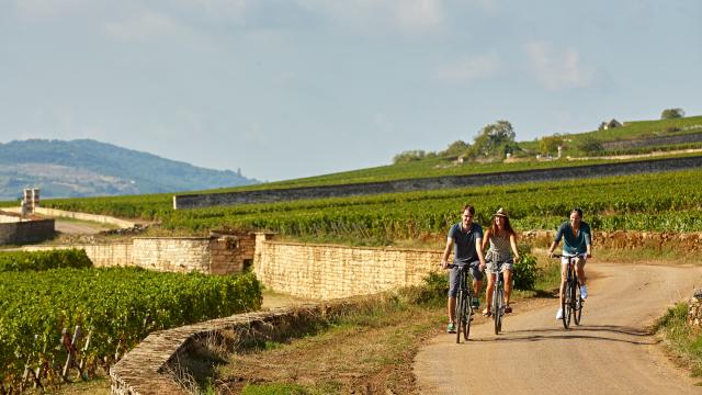 voie-des-vignes-bourgogne-velo-33